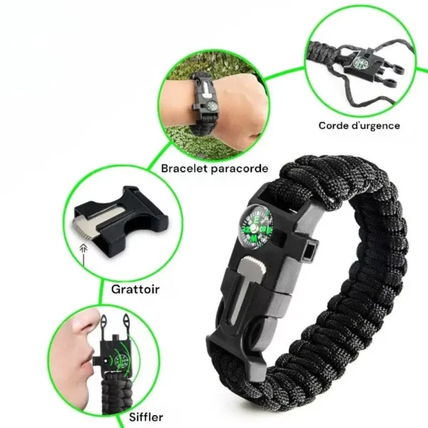 kit de survie lion